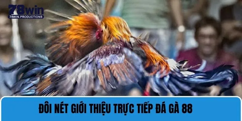 Những nét chính giới thiệu về trực tiếp đá gà 88